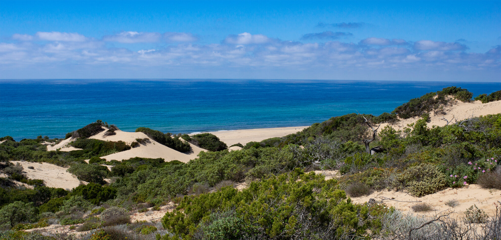 the lovely dune landscape of Piscinas