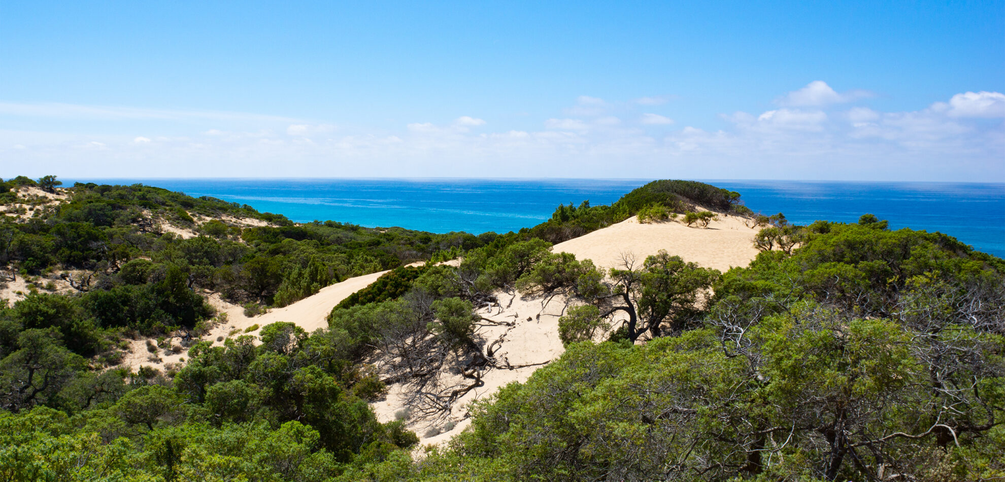 the immense dune world of Costa Verde